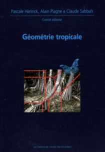 Géometrie tropicale. Journées Mathematiques X-UPS 2008