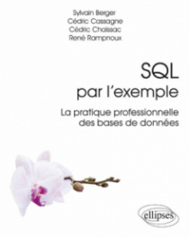 SQL par l'exemple - La pratique professionnelle des bases de données