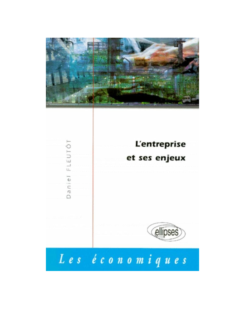 L'entreprise et ses enjeux dans l'économie contemporaine