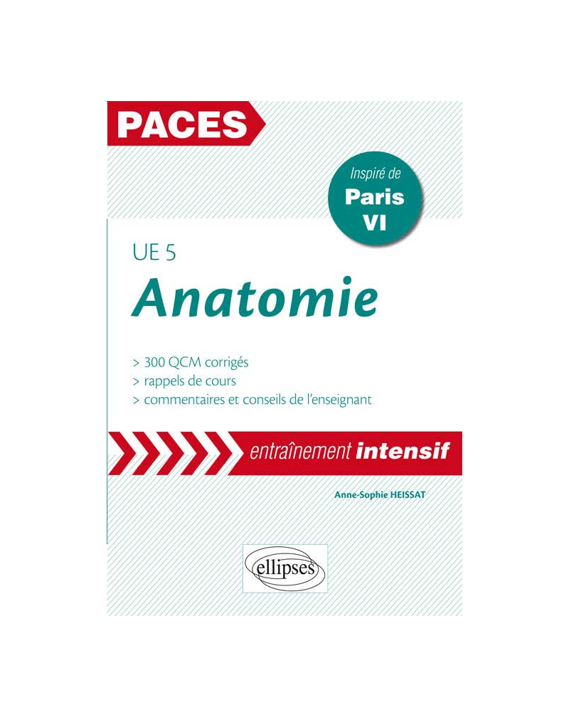 UE5 - Anatomie
