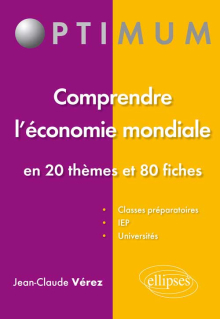 Comprendre l’économie mondiale - En 20 thèmes et 80 fiches