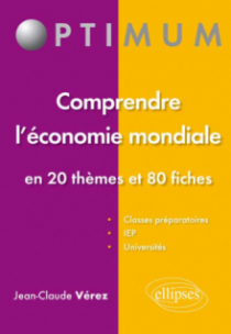 Comprendre l’économie mondiale - En 20 thèmes et 80 fiches