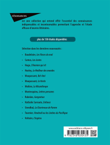 Étude sur Stefan Zweig, Le Joueur d'échecs