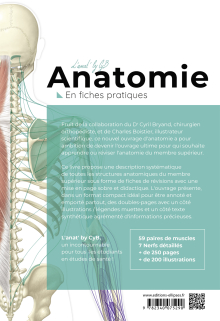 L'anatomie en fiches - Membre supérieur
