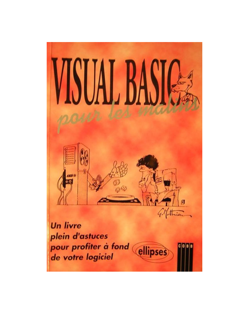 Visual Basic pour les malins