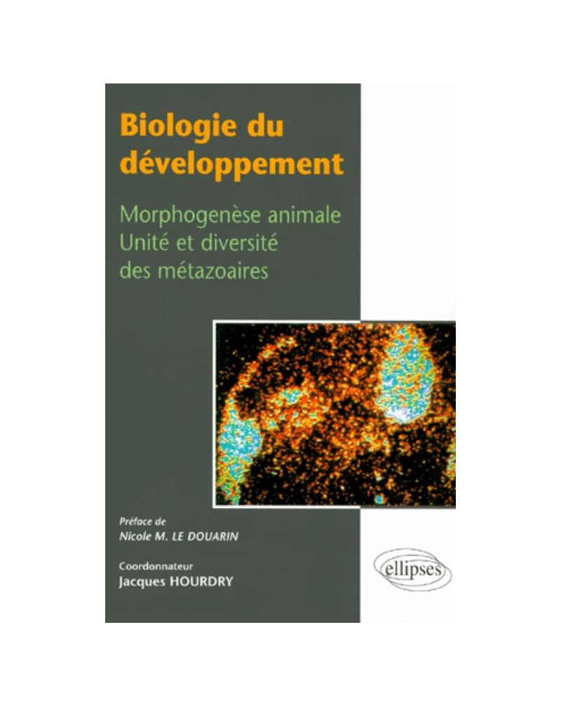 Biologie du développement, Morphogenèse animale, unité et diversité des métazoaires