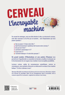 Cerveau. L’incroyable machine